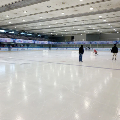 Coussinets de terrain en PEHD pour la pratique du hockey
