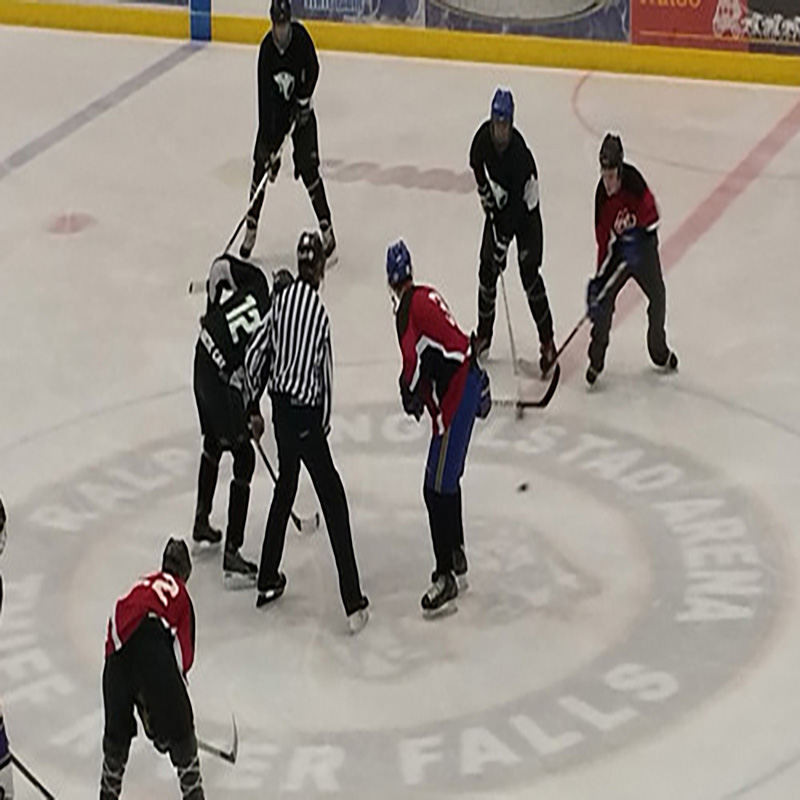 Tapis de tir pour hockey sur glace en PEHD Tapis de tir pour hockey sur glace en PEHD